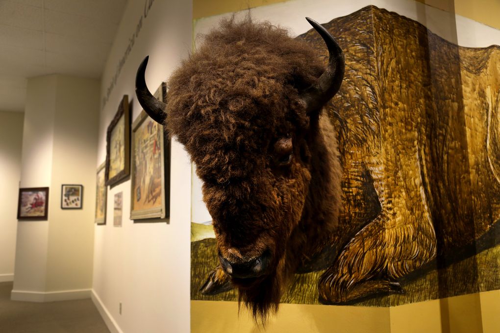 A three-dimensional artwork of a bison entitled “Land of Plenty,” by Justin Gibbens, hangs at the John Ford Clymer Museum & Gallery. (Johnny Andrews/The Seattle Times)