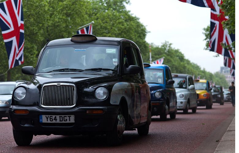 do london cabs take dogs