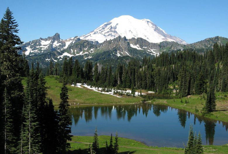 Huskies and Cougars Get Rainier Love