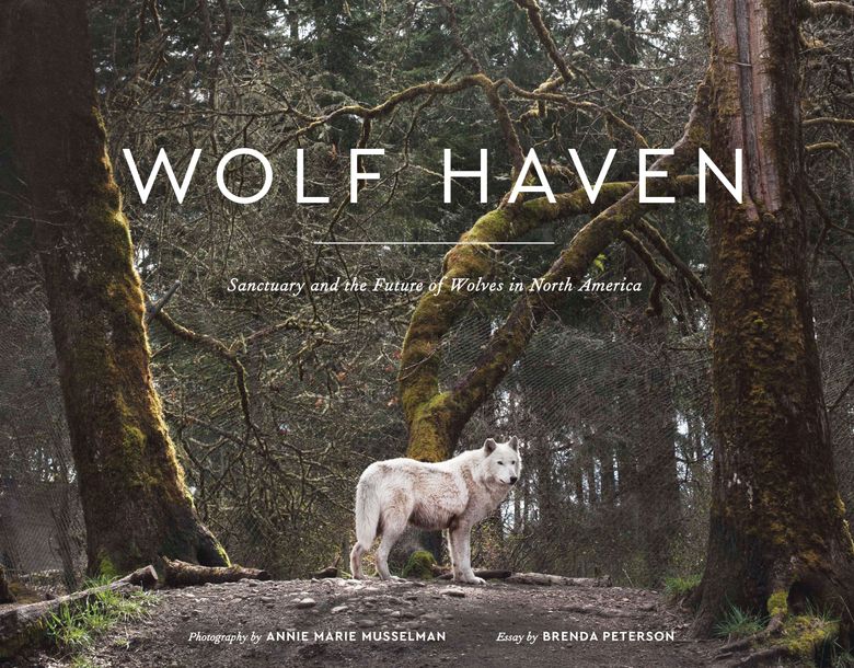 Our close connection with the fascinating inhabitants of Wolf Haven | The  Seattle Times