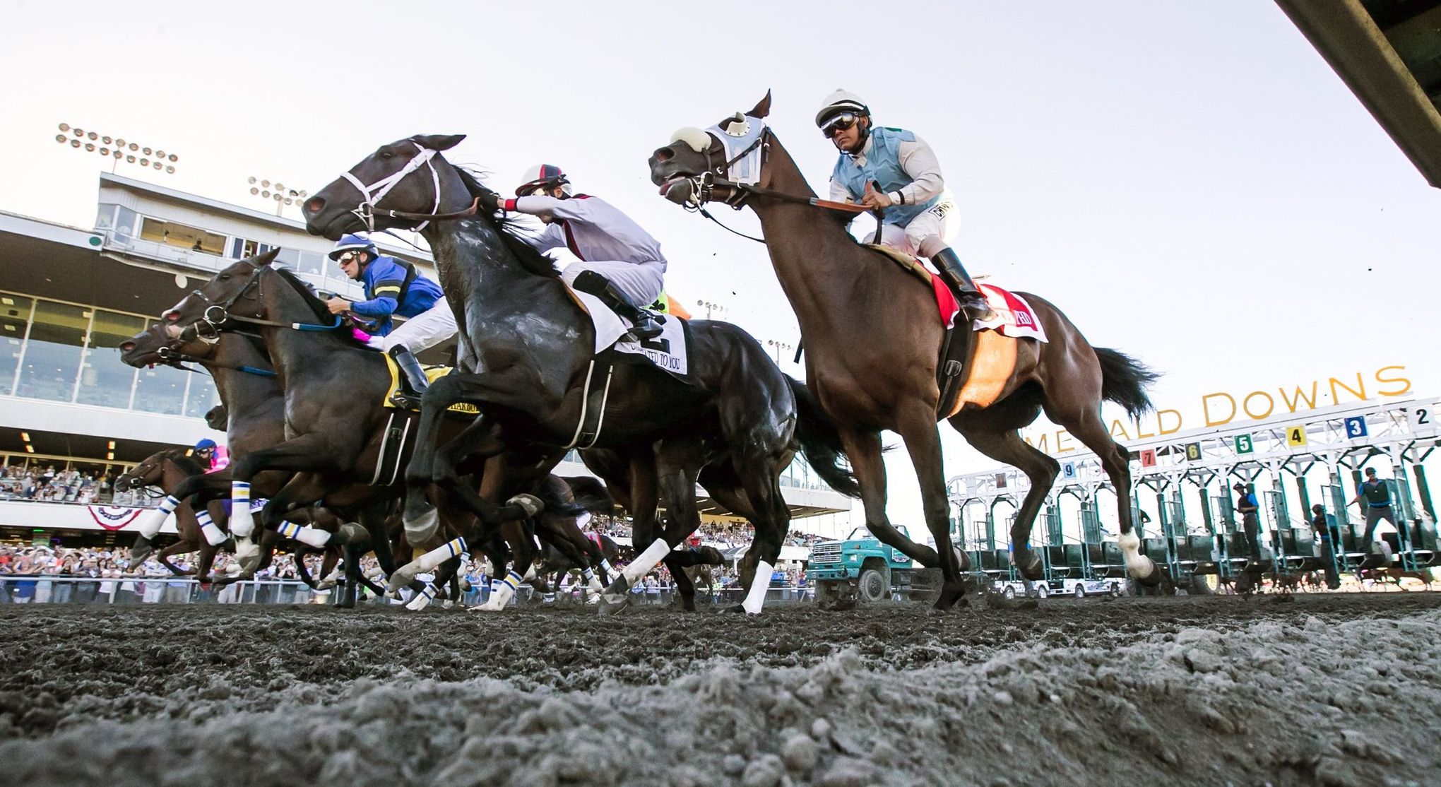 Point Piper takes Longacres Mile in track record time as Stryker Phd ...