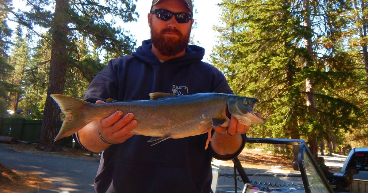 Lake Wenatchee still viable choice for sockeye fishing The Seattle Times