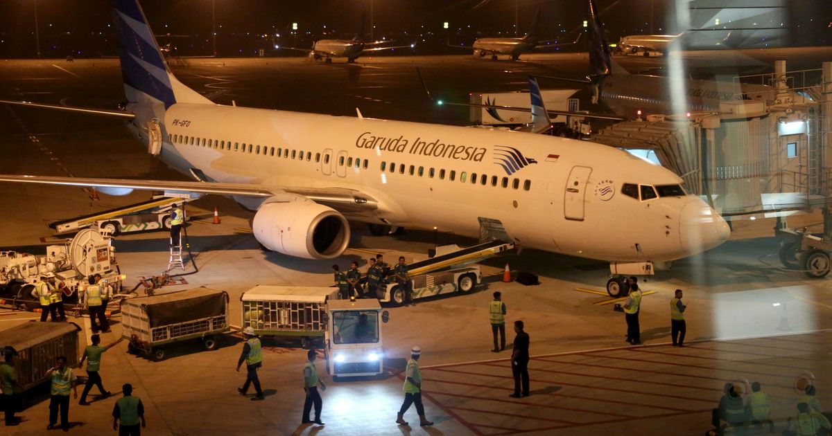 Indonesia airlines cleared to fly to US after safety upgrade | The ...