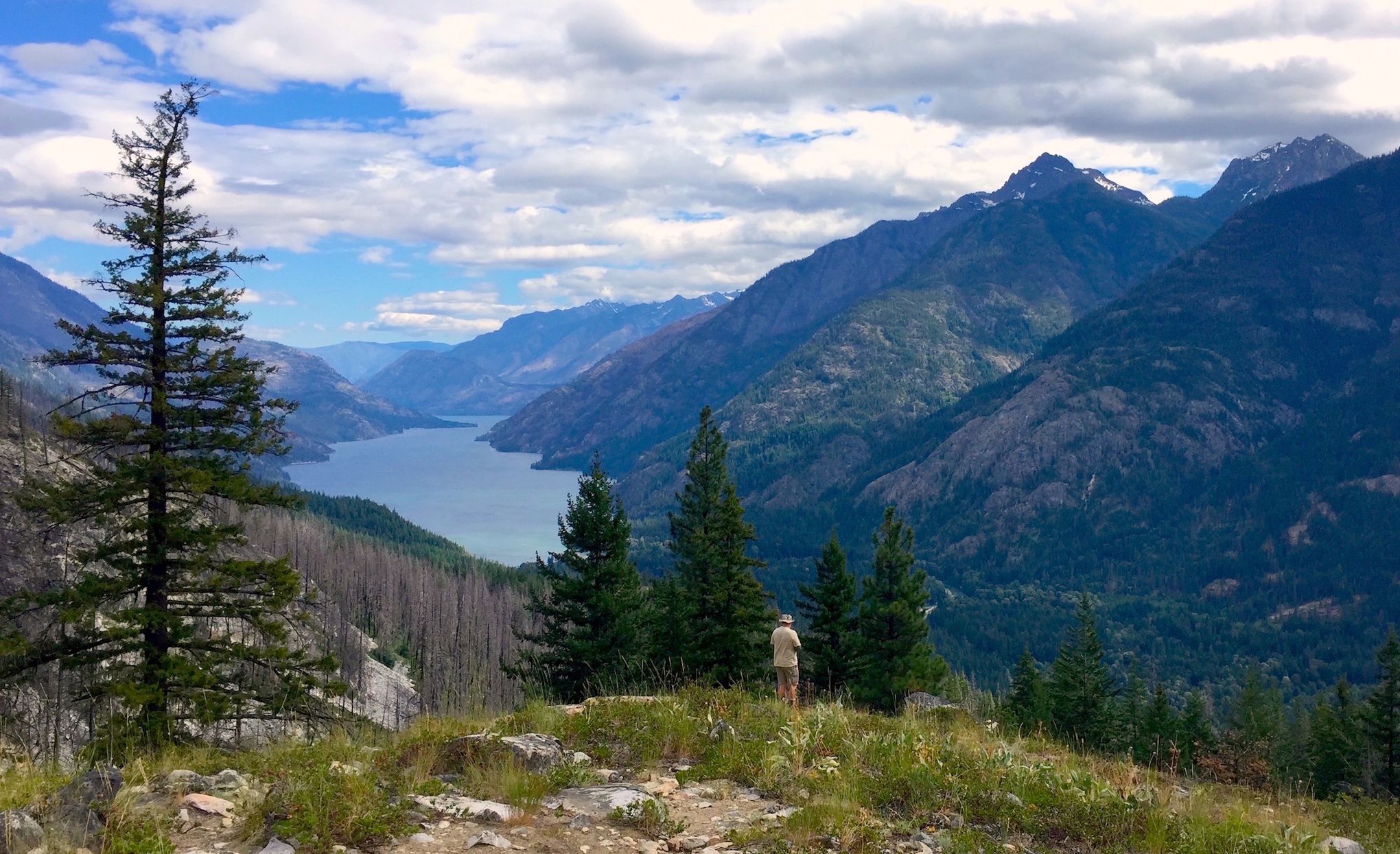 How to Hike in Bear Country — Washington Trails Association