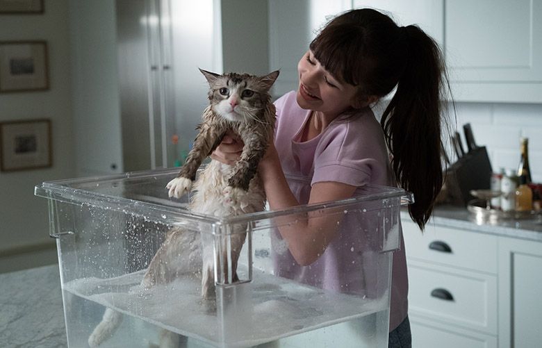 ‘Nine Lives’: Say scat to this Kevin Spacey cat movie | The Seattle Times
