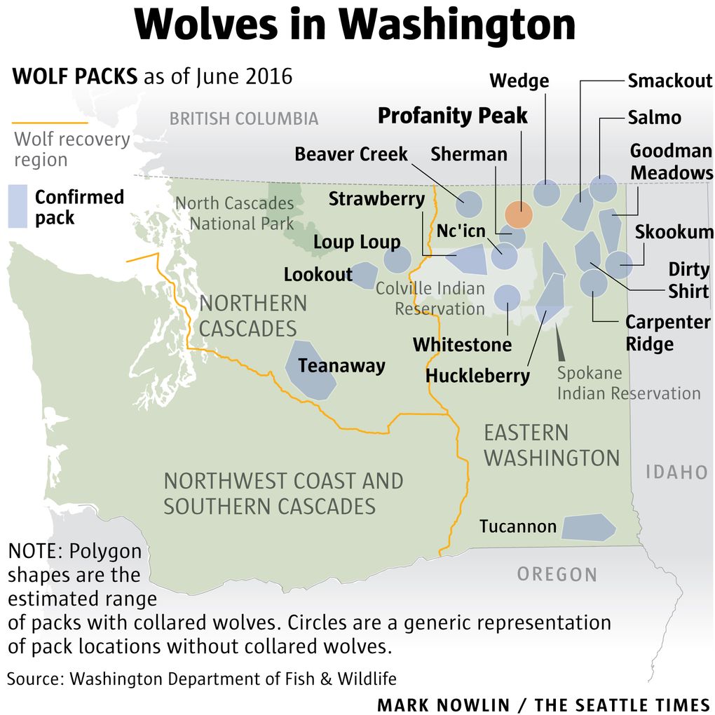 Washington Department of Fish & Wildlife authorized fieldstaff to kill the Profanity Peak wolf pack to prevent more attacks on cattle in the rangelands between Republic and Kettle Falls. The state is home to at least 90 wolves and 19 packs as of early 2016.