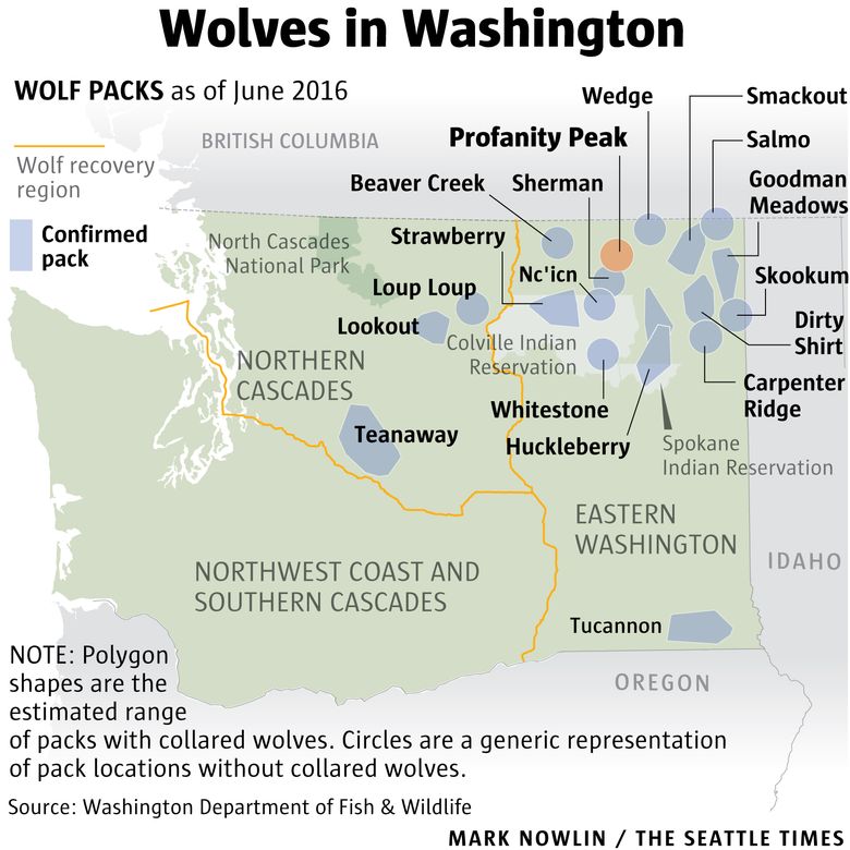 Washington Department of Fish & Wildlife authorized fieldstaff to kill the Profanity Peak wolf pack to prevent more attacks on cattle in the rangelands between Republic and Kettle Falls. The state is home to at least 90 wolves and 19 packs as of early 2016.  