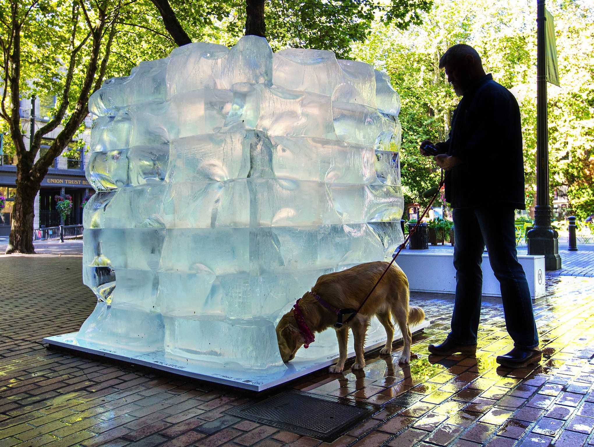 How long will it take this giant ice cube to melt in Seattle? 