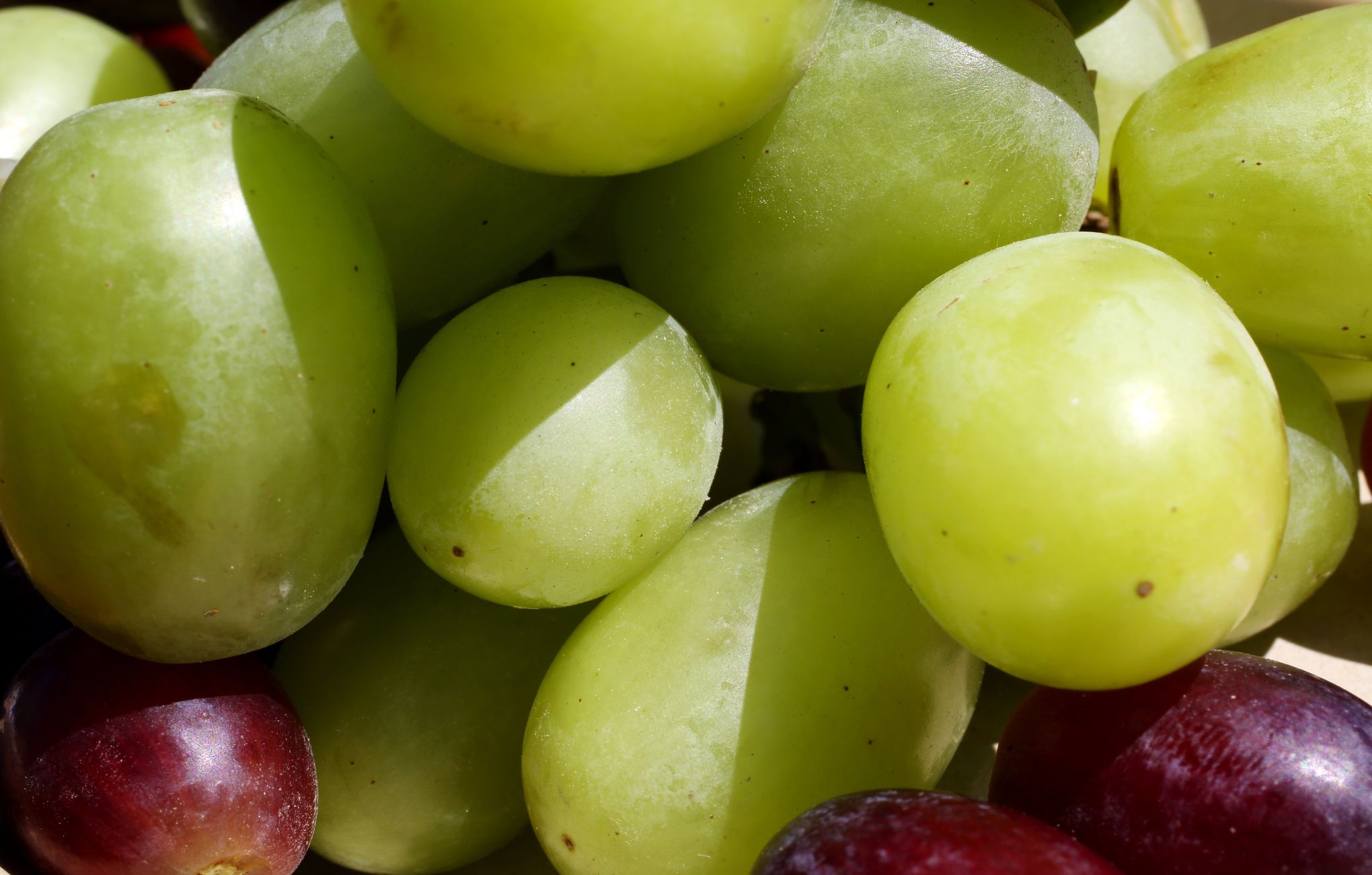 Green Seedless Grapes, 3 lb - Food 4 Less