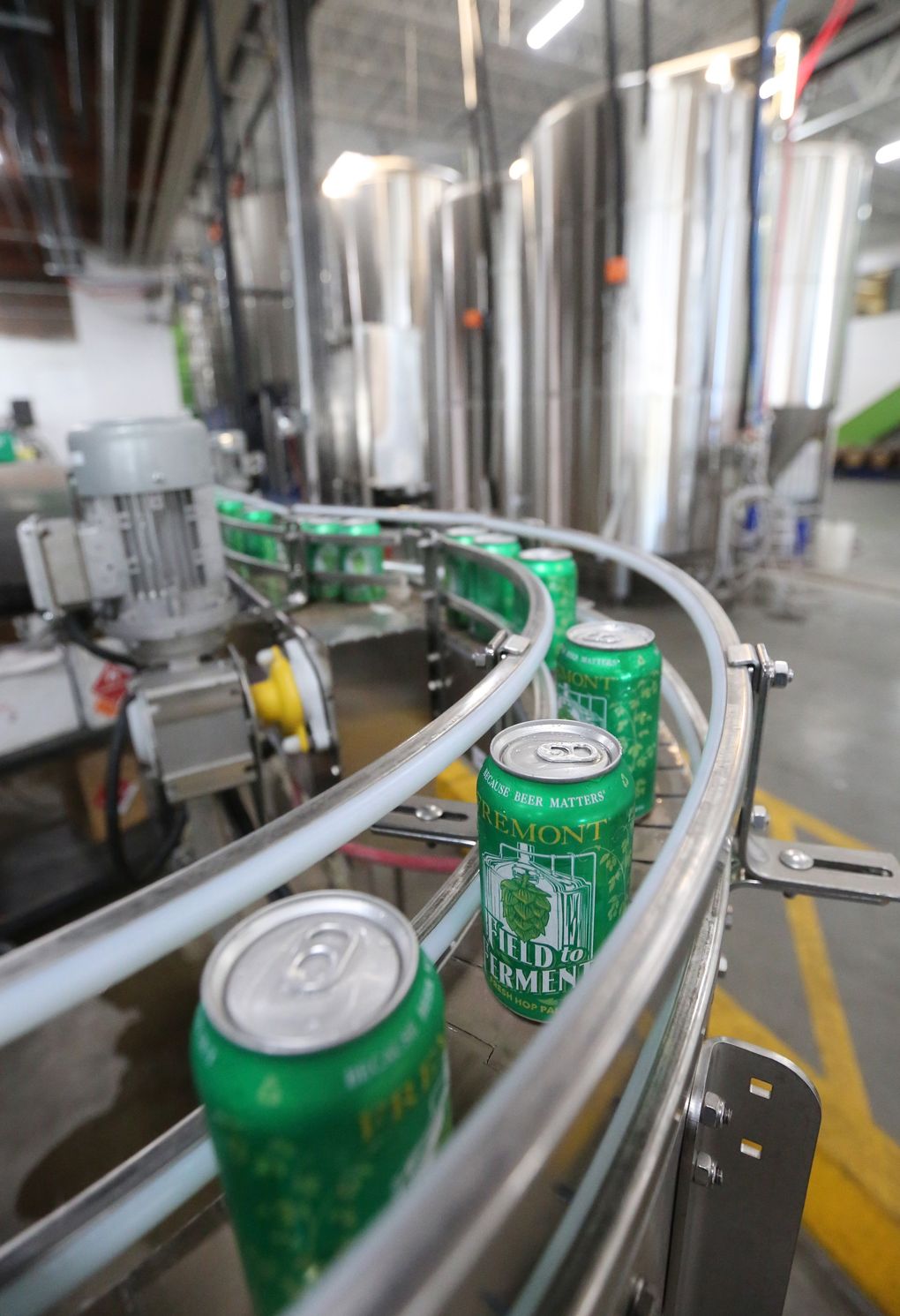At Fremont Brewing’s facility in Ballard, cans of fresh-hop “Field to Ferment” pale ale go flying by. (Greg Gilbert/The Seattle Times)