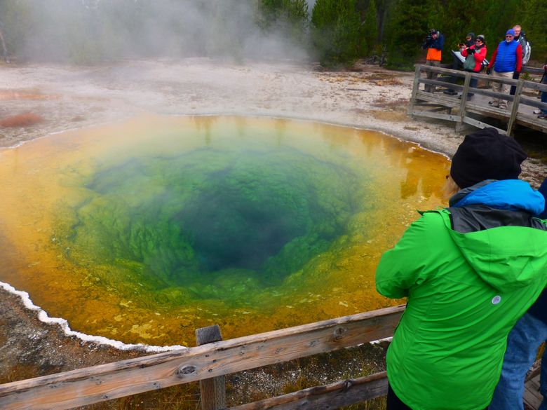 Yellowstone National Park’s famous Morning Glory Pool is more green and orange now. (Brian J. Cantwell/The Seattle Times)