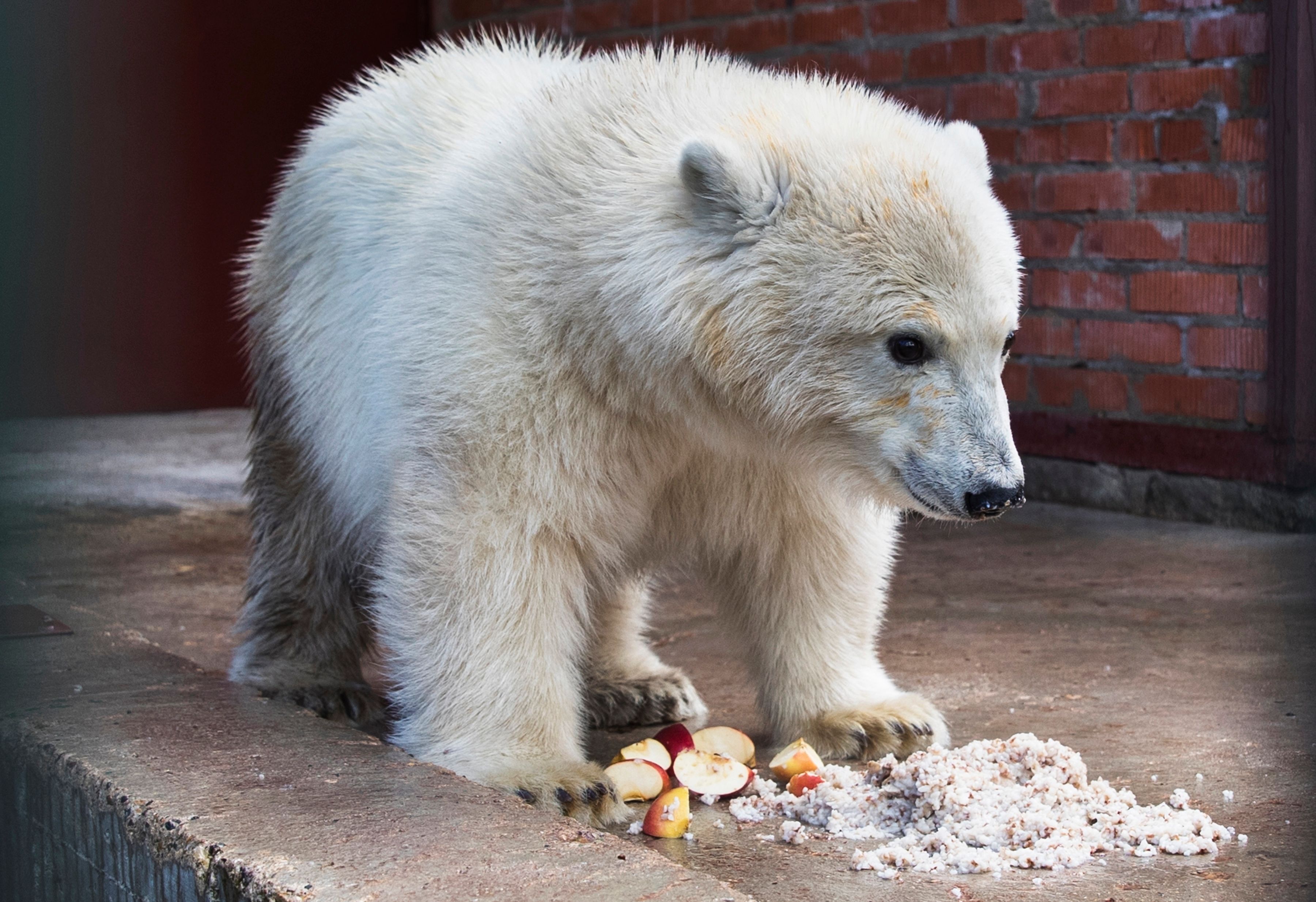 d6e06973533f466ea1d0149a7a9603