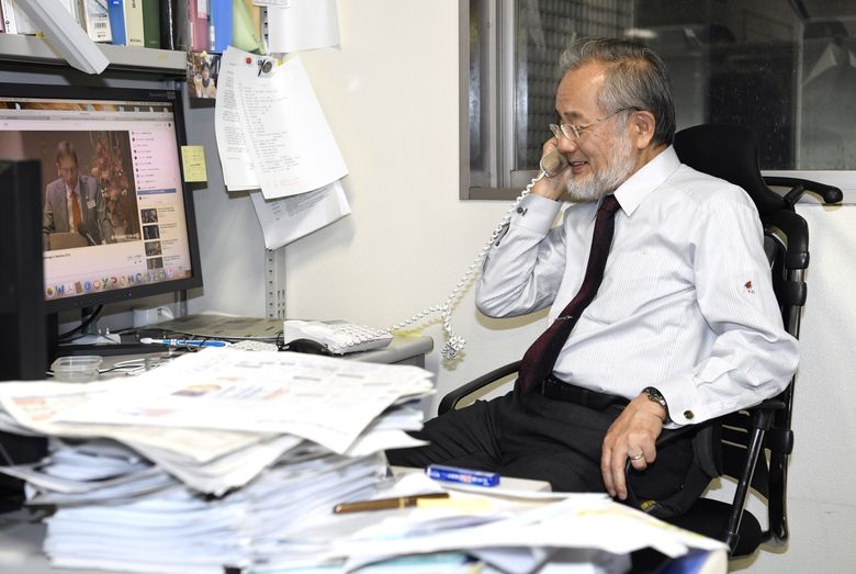 Yoshinori Ohsumi of Japan Wins Nobel Prize for Study of 'Self-Eating' Cells  - The New York Times