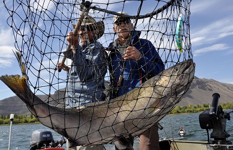Poor return results in Chehalis River closure for spring chinook