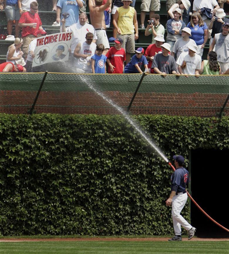 Wrigley's ivy is choking the life out of the field - ESPN