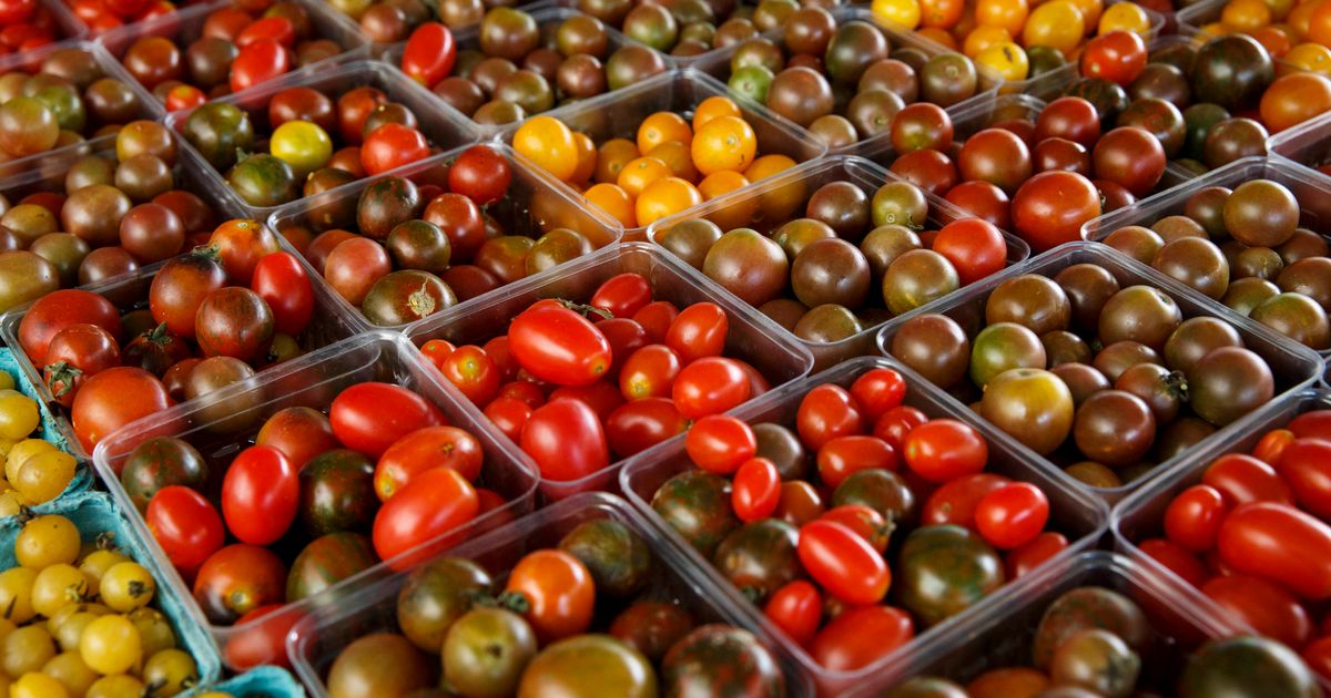 Why tomatoes lose flavor in fridge their genes chill out The Seattle