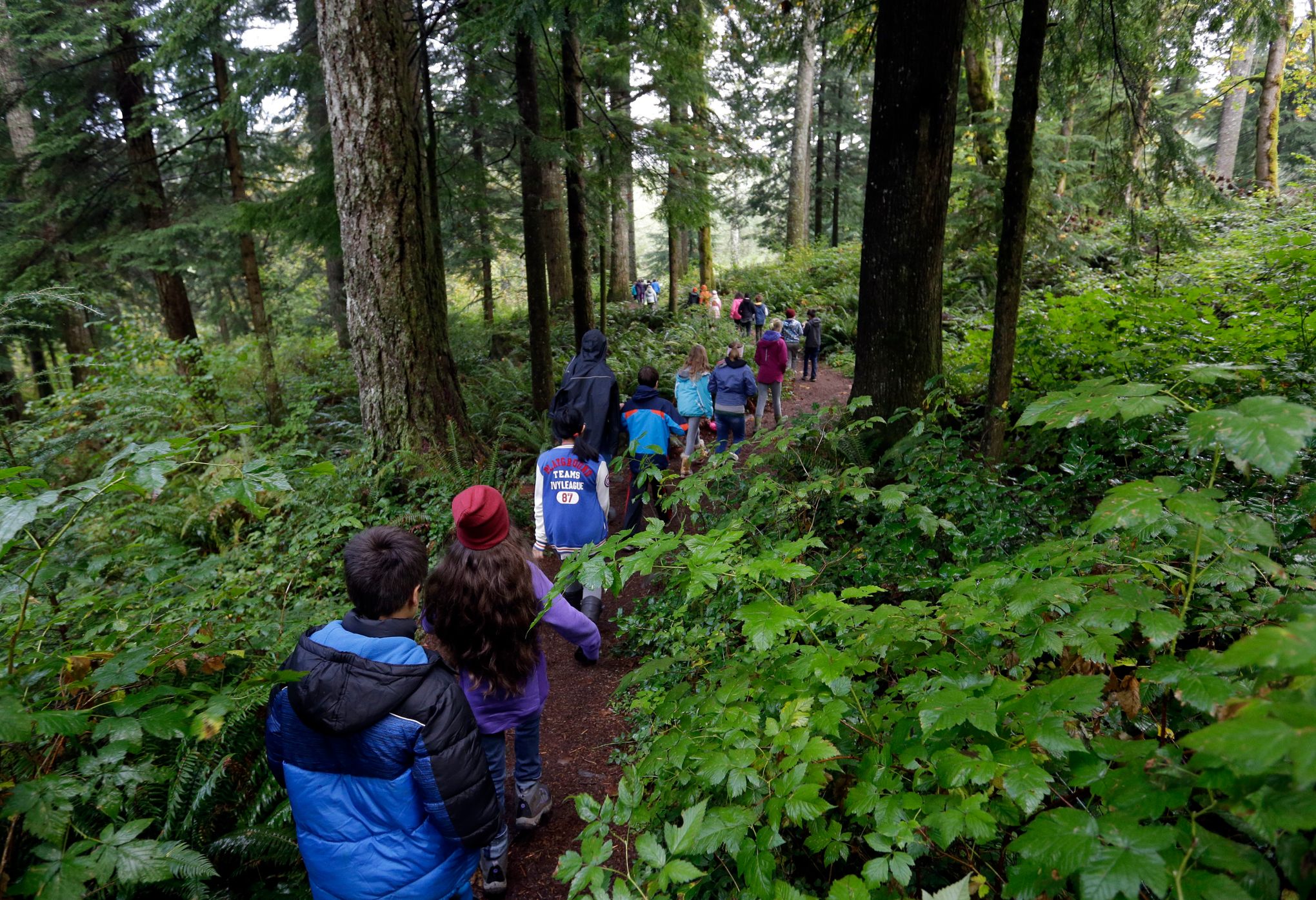 Oregon weighs whether all kids should get outdoor education