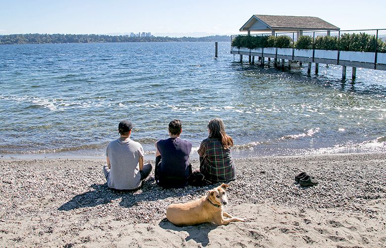 People enjoy the view of Lake Washington from a beach area at Denny Blaine Park on Monday, September 12, 2016, in Seattle.
(*THEY WERE FINE WITH PHOTOS AS LONG AS THEIR FACES WEREN’T SHOWN*)