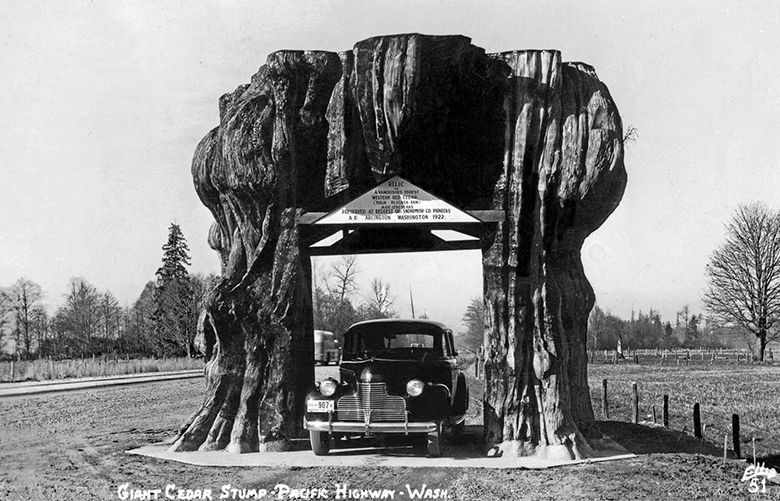 This tunneled tree stump in Snohomish County was an early drive