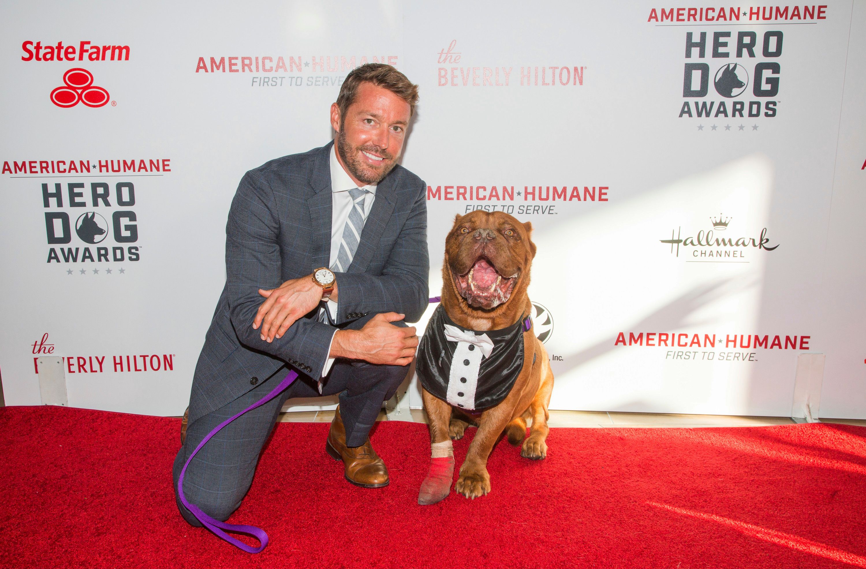 French sales mastiff hooch