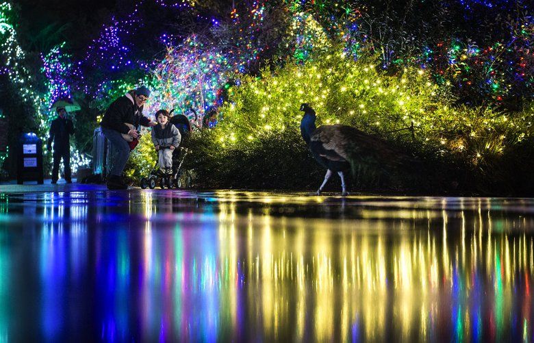 Seattlearea holiday lights Where to see dazzling displays The