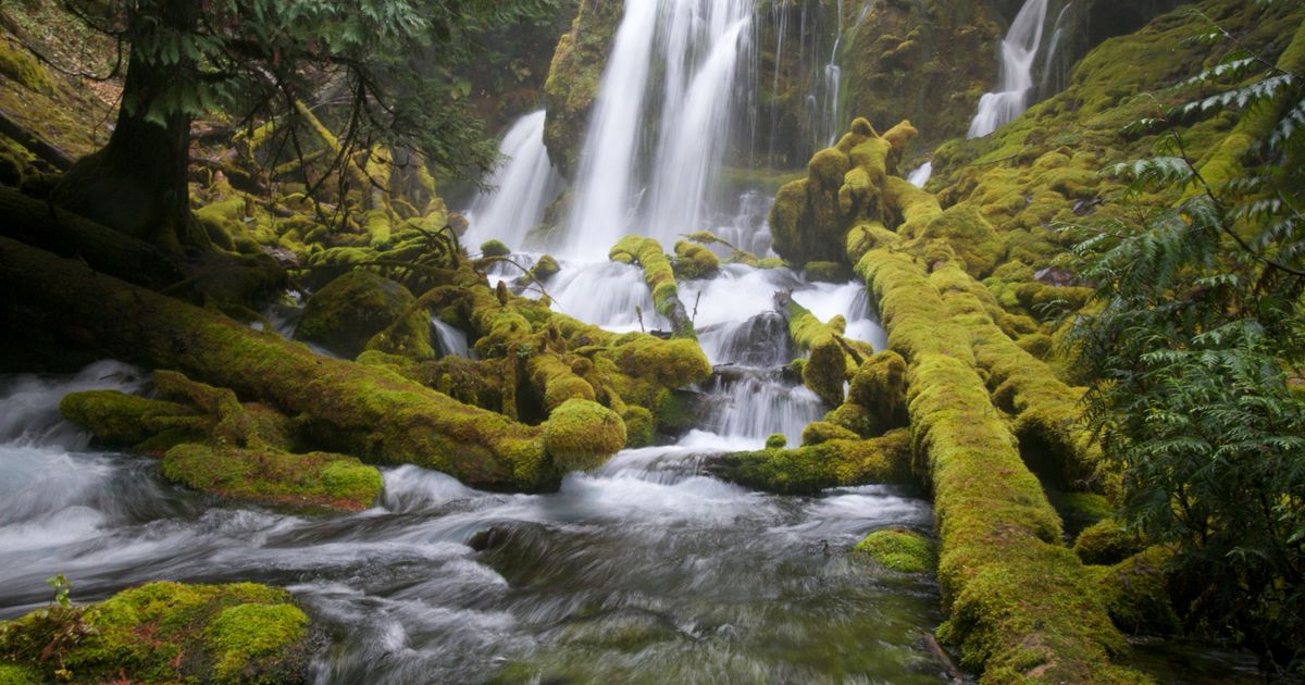 Obscure waterfall in Oregon is a rainy season treat | The Seattle Times