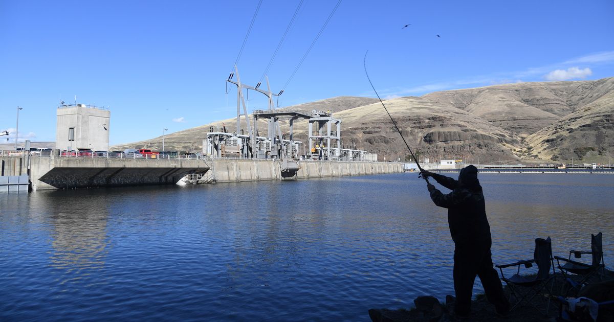 Snake River closes for spring chinook fishing after inseason data