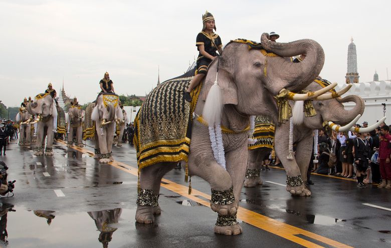 White elephants, mahouts pay respects to late Thai king