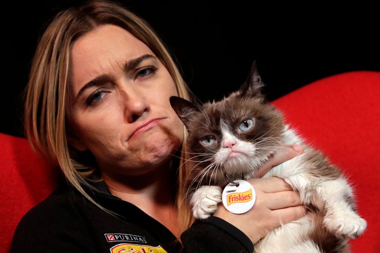 Cat with permanent scowl on her face becomes new 'Grumpy Cat