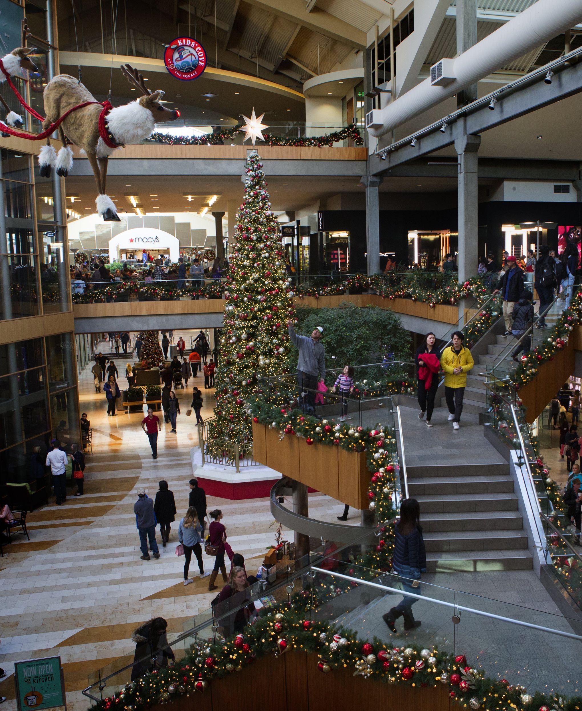 bellevue square mall christmas