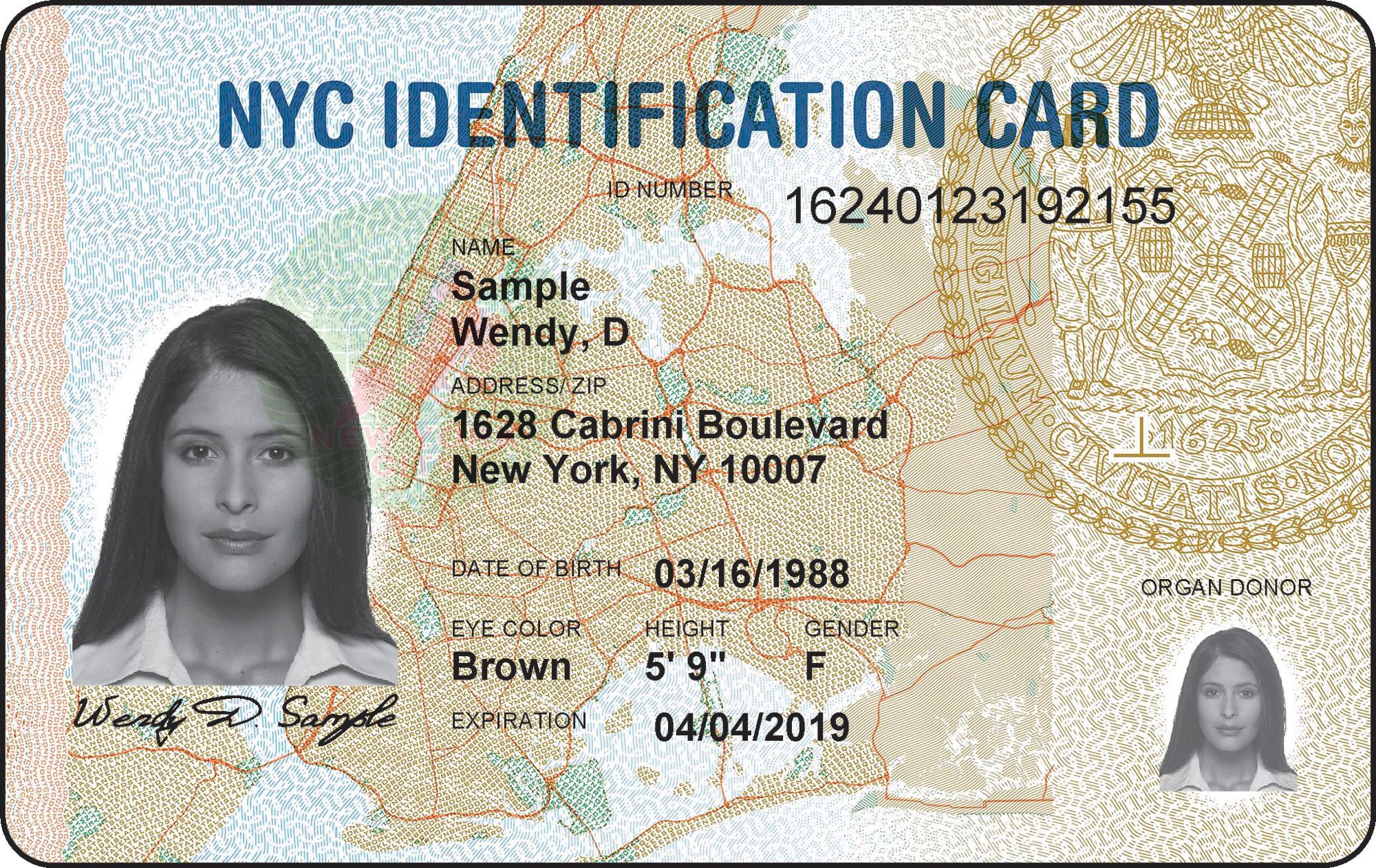 Wary of Trump immigration threat, NY may erase ID card data | The