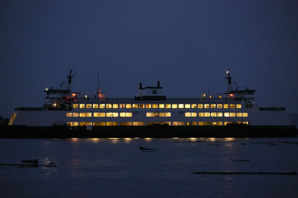 Driftwood bobs in Puget Sound after a windstorm around the Fauntleroy ferry terminal. (Erika Schultz/The Seattle Times)