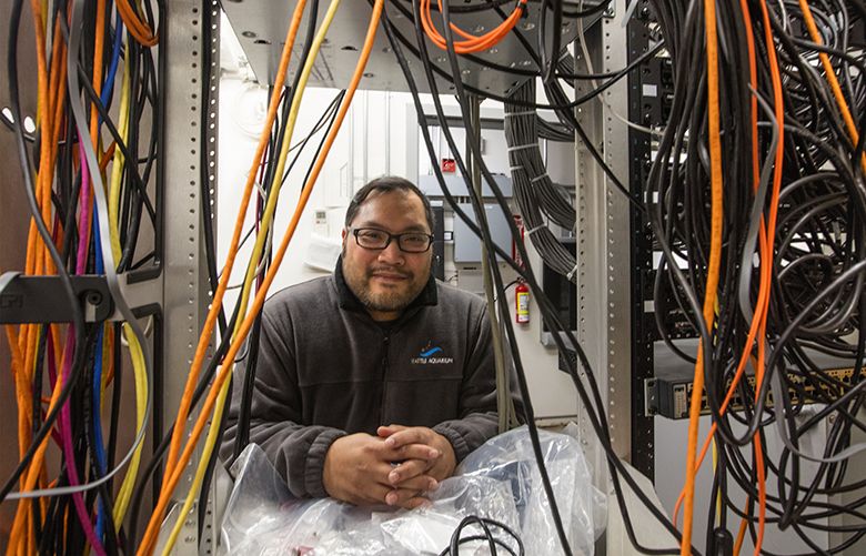 Wed., November 30, 2016.    Tom Nguyen, information technology manager at the Seattle Aquarium has been plugging the Aquariumâ€™s technology into cloud-computing services which gives him more time to work with individual exhibits within the Aquarium.  Heâ€™s in one of the server rooms that is being upgraded and rewired to new on-premis servers.