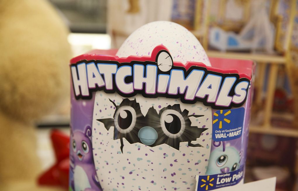 Why won't your Hatchimal hatch? Reports of defective toys pour in