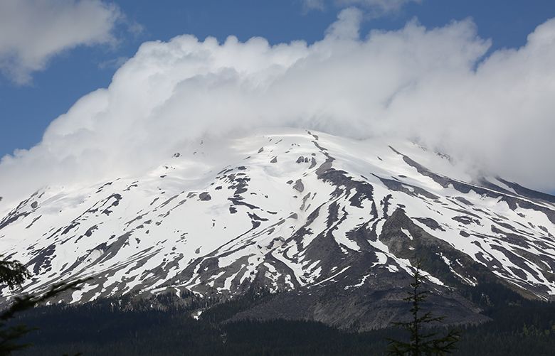 In Gifford Pinchot National Forest a new trail  around Mount St. Helens is called Volcano View Trail, Tues. June 10, 2014, near Cougar, Wash. Pictured, south side of Mt. Saint Helens, seen from the trail.