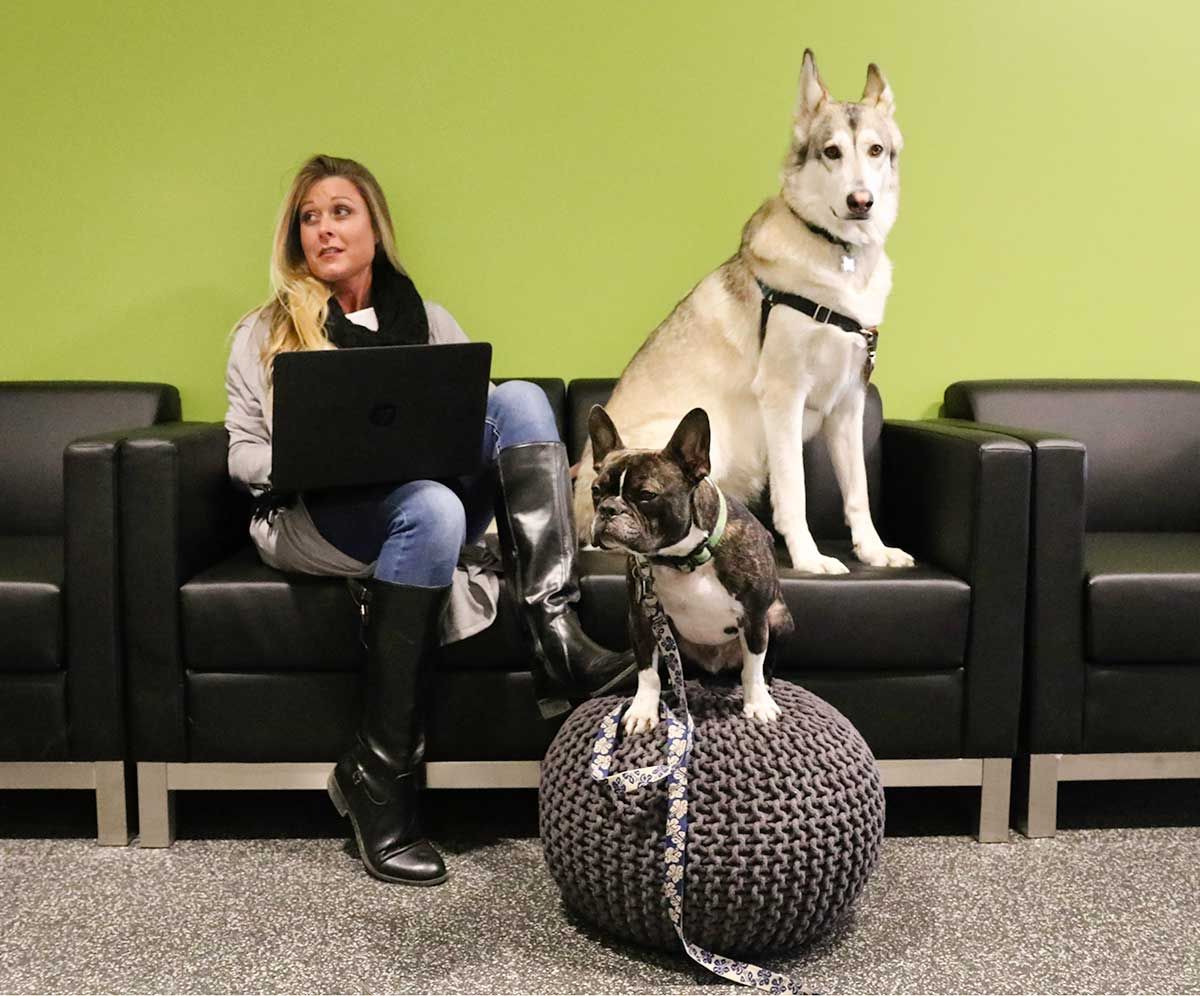 Pet director Dani Kahn's cool job | The Seattle Times