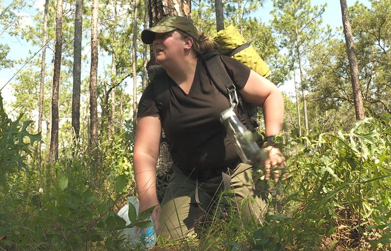 Jan. 22 TV Picks: Hide-and-seek reality show ‘Hunted’ debuts | The ...
