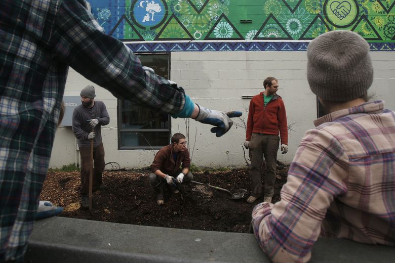 Executive Director of Alleycat Acres Allison Rinard points to an area for volunteers to work on in the future while at the Cascade Giving Garden located outside of the Cascade People’s Center on Monday, January 9, 2017. According to the People’s Center website, the garden brings together neighborhood collaboration, more of a shared purpose, better communication and a closer community. Organizations such as Alleycat Acres, who are an urban farming collective which works to reconnect people, places and produce through transforming underutilized urban spaces, provide needed volunteer work for projects like the Giving Garden.