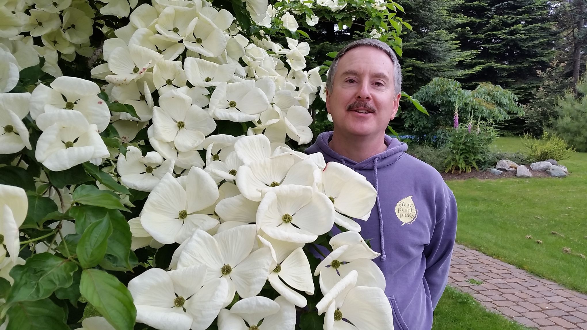 Best of the Northwest: After much debate, here are some of the 43 newest Great  Plant Picks | The Seattle Times