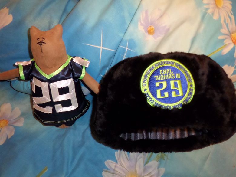 Seattle Seahawks' live mascot lands on fan's head Thursday