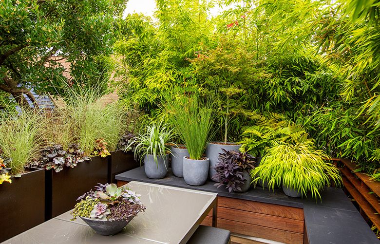 The “cityscape” at the dining-room end of the deck features year-round grasses, rushes, ferns and a small maple tree in a cluster of gray urns. The dining table is from Crate and Barrel. (Mike Siegel/The Seattle Times)