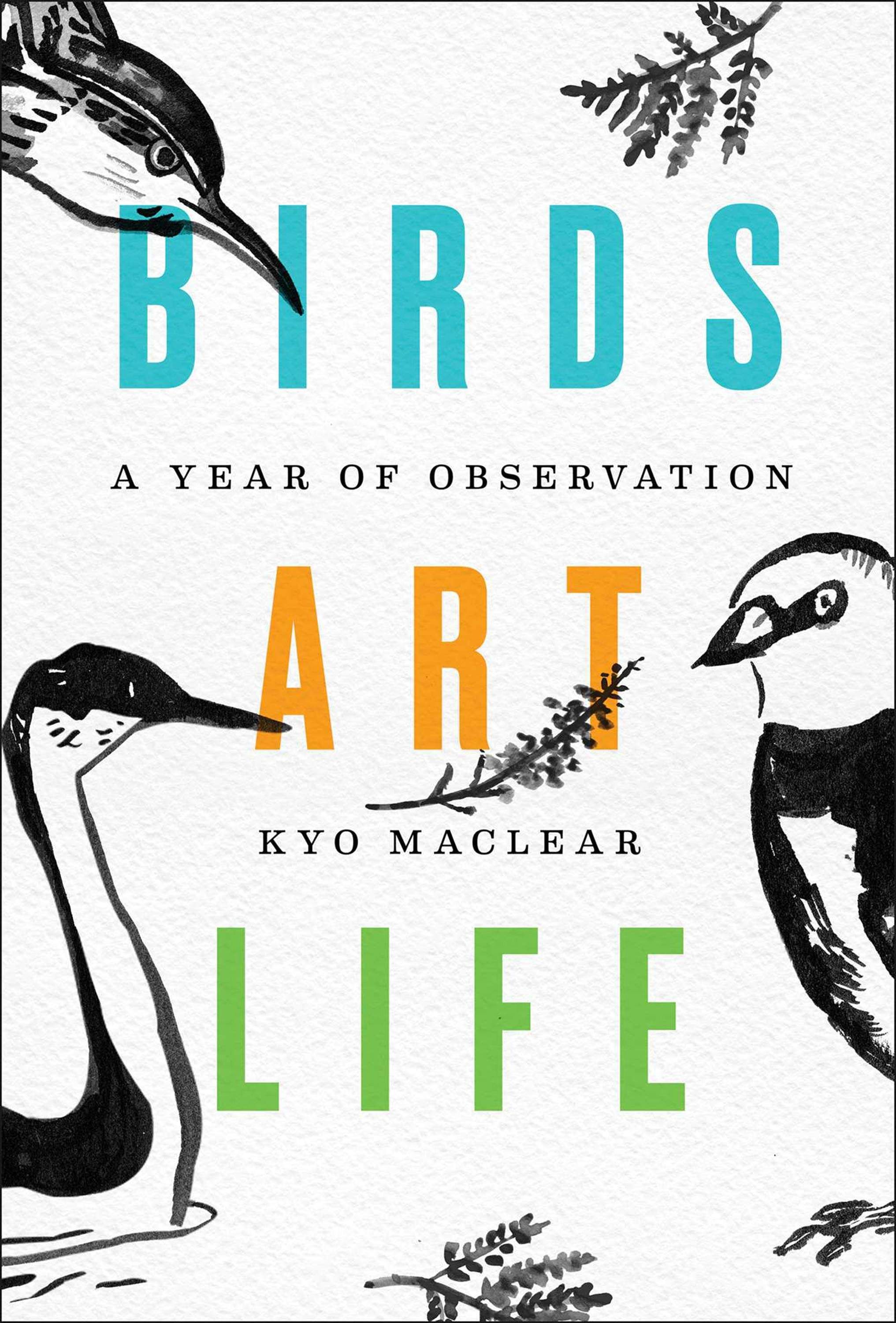Birds Art Life': a year seeing the world through urban birds | The