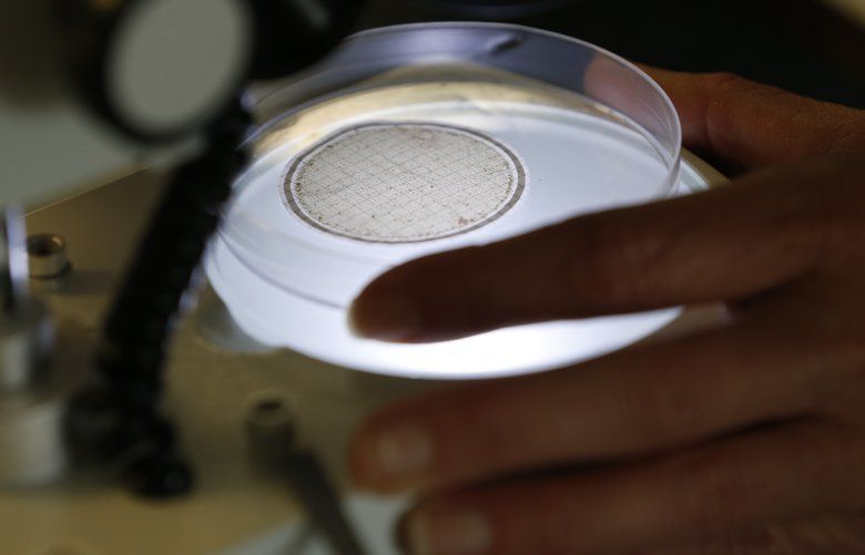 Yoga pants, cozy clothes may be key source of plastic pollution in seas