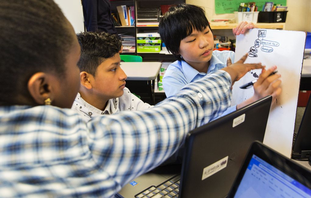 Alicia Akinyi, left, Nicolas Colin and Nathan Eng work on a genetics lesson in Carlito Umali’s sixth-grade class at Technology Access Foundation Academy in Kent. (Mike Siegel/The Seattle Times)