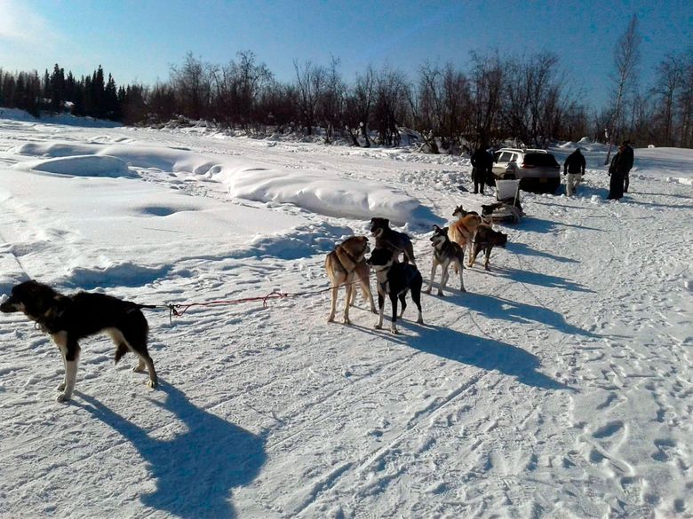 Dog Mushing - Alaska Business Magazine