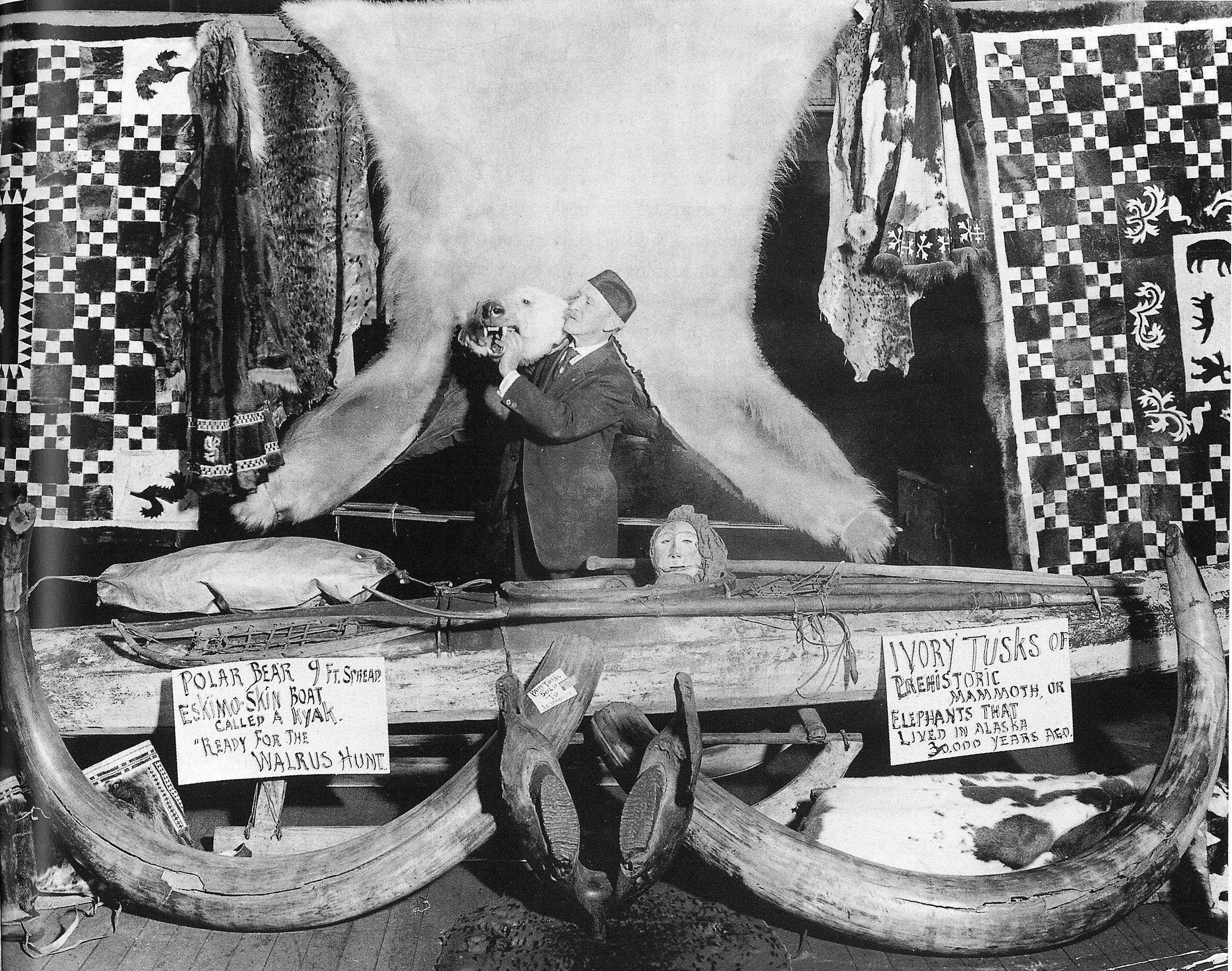 A bear for the ages: A brief cultural history of the polarizing