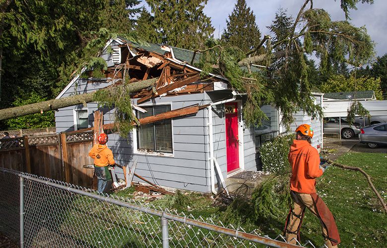 A crew, from Robert Jefferies Logging and Tree Service, remove a tree from this home in the 6300 block of Cypress Street in Everett on Friday morning. A 51 MPH gust of wind was recorded this morning in Everett. Photo taken Friday March 10th, 2017.