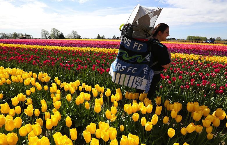 are dogs allowed at skagit tulip festival