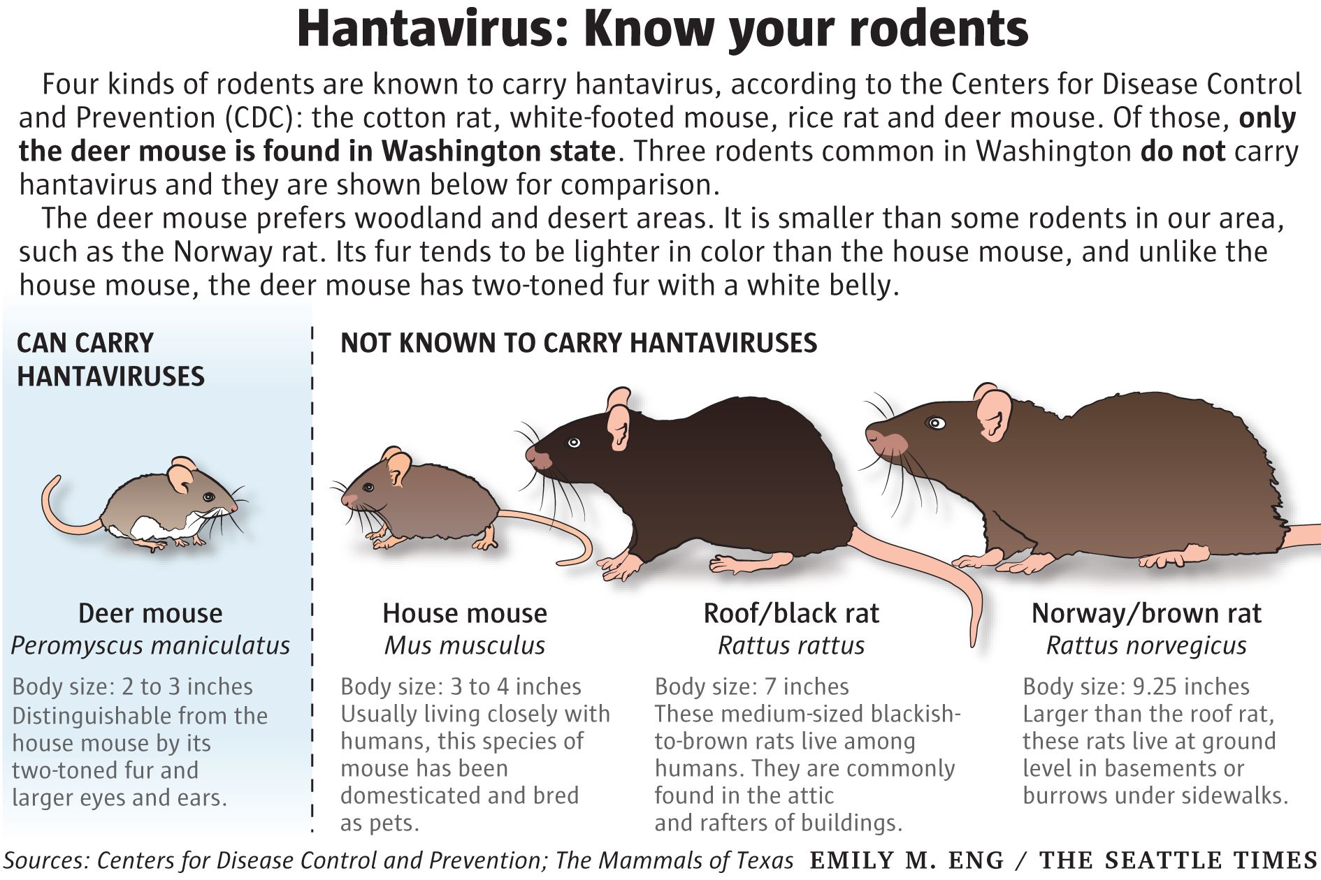 field mice vs house mice