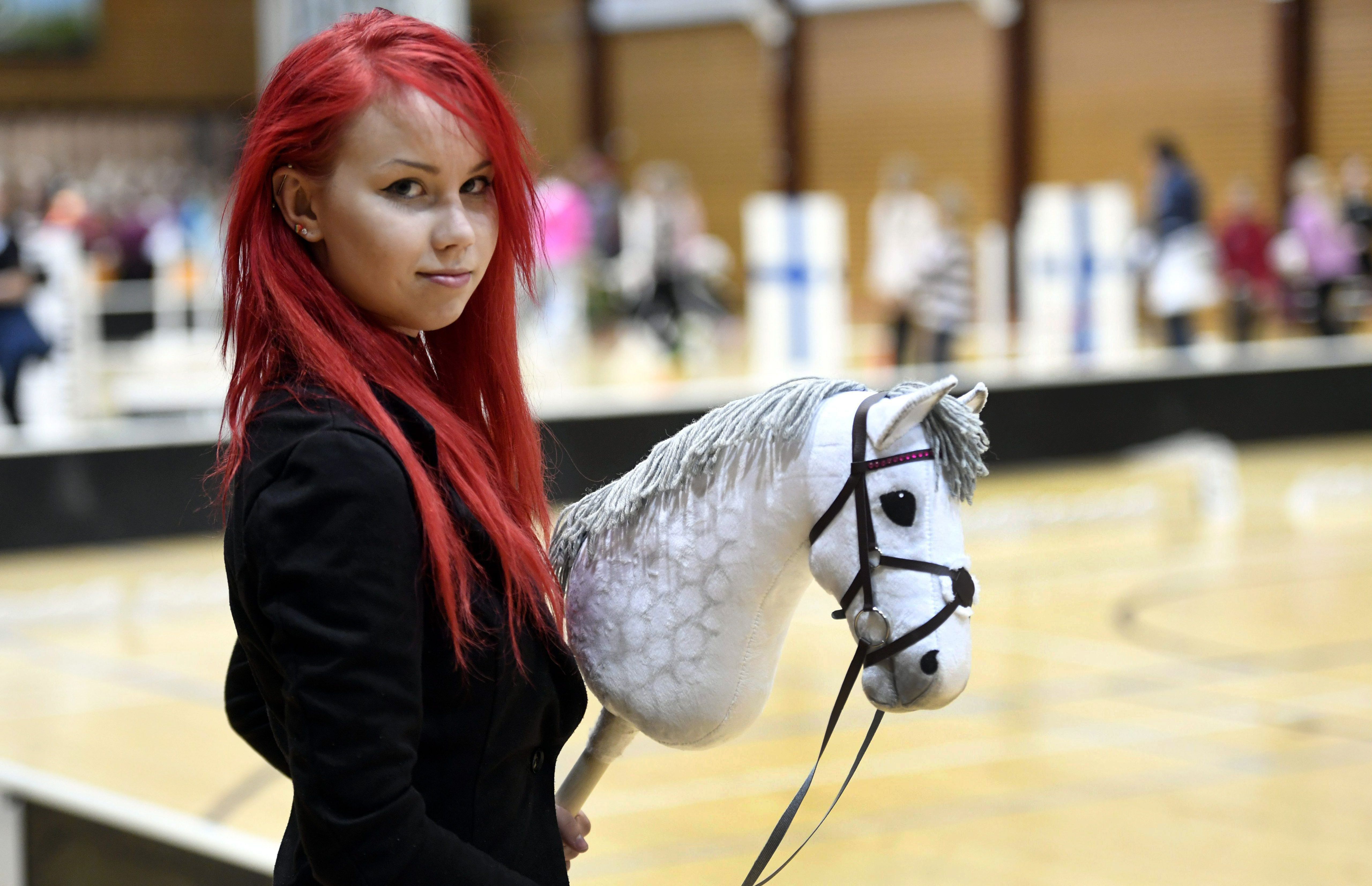 Hobby shop horse tournament